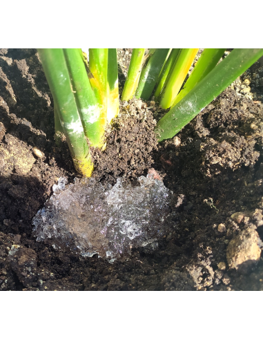 Neusol HidroKeep - Technical Data Sheet Neusol HidroKeep - Technical Data Sheet