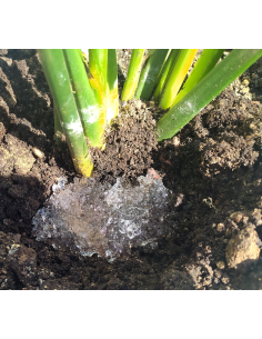 copy of Neusol AquaSol -... 2