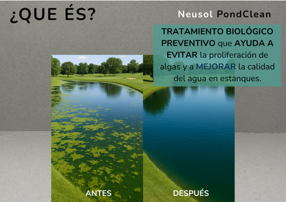 Neusol PondClean – Control biológico de algas y olores en estanques