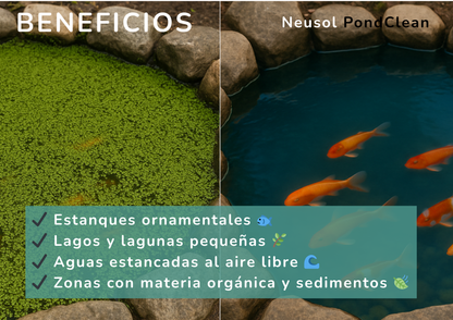Neusol PondClean – Control biológico de algas y olores en estanques